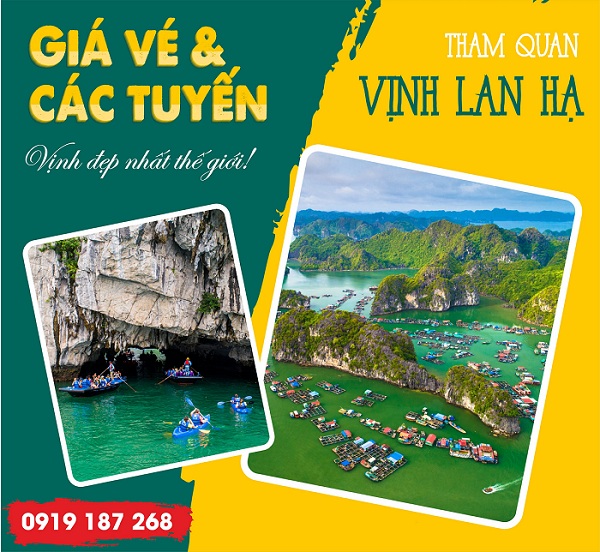 Phí tham quan vịnh Lan Hạ Giá đi vịnh Lan Hạ